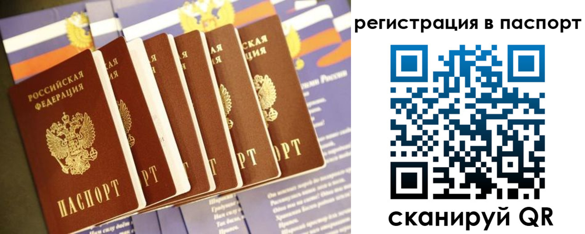 прописка ребенка в Кашине